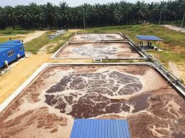 Pengelolaan Limbah Sawit